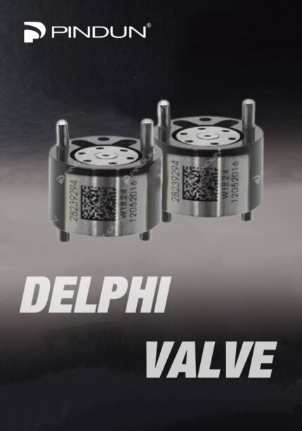 Various Control Valves for Delphi Injector