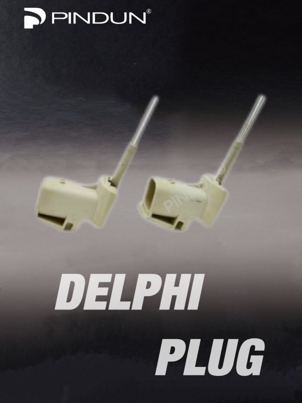 IMG_1837.jpg High quality plug for Delphi pump nozzle
