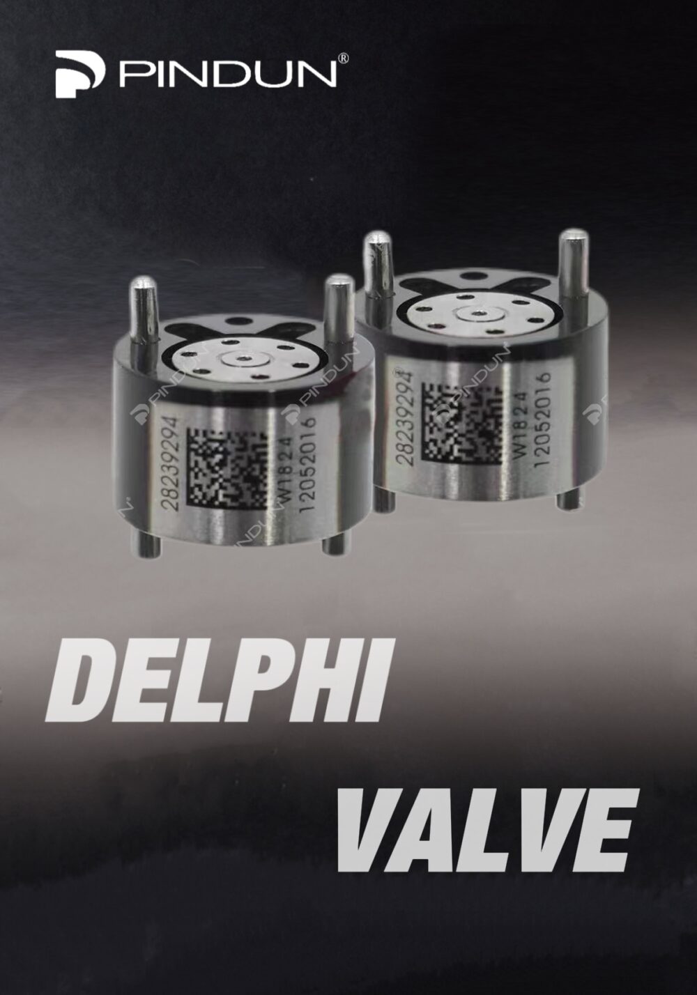 IMG_1853.jpg Various Control Valves for Delphi Injector
