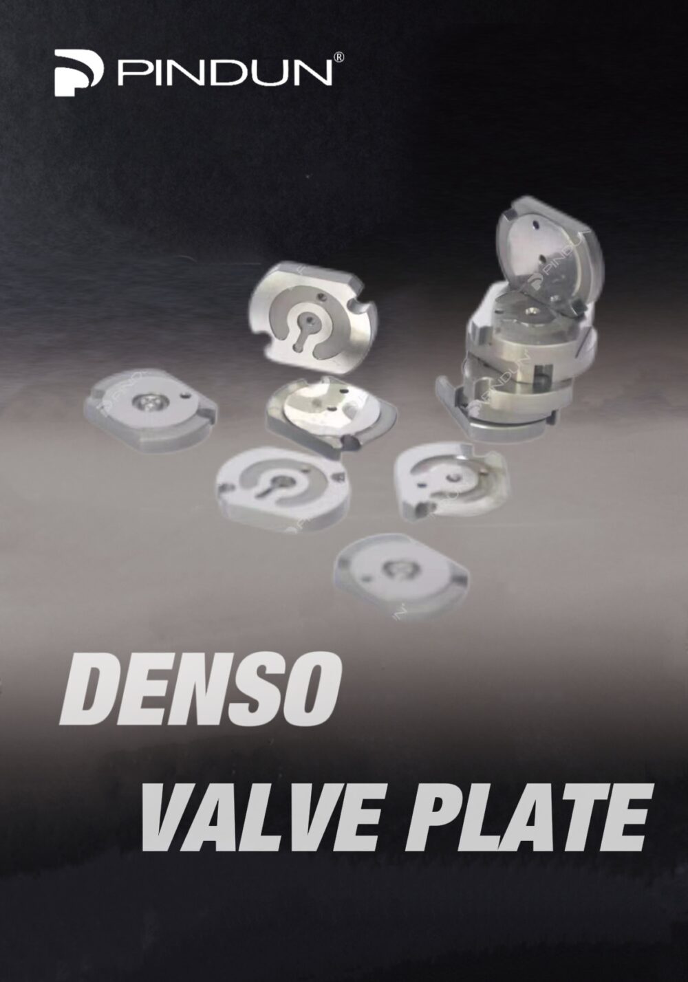 IMG_3197.jpg High quality valve plates for Denso Injector